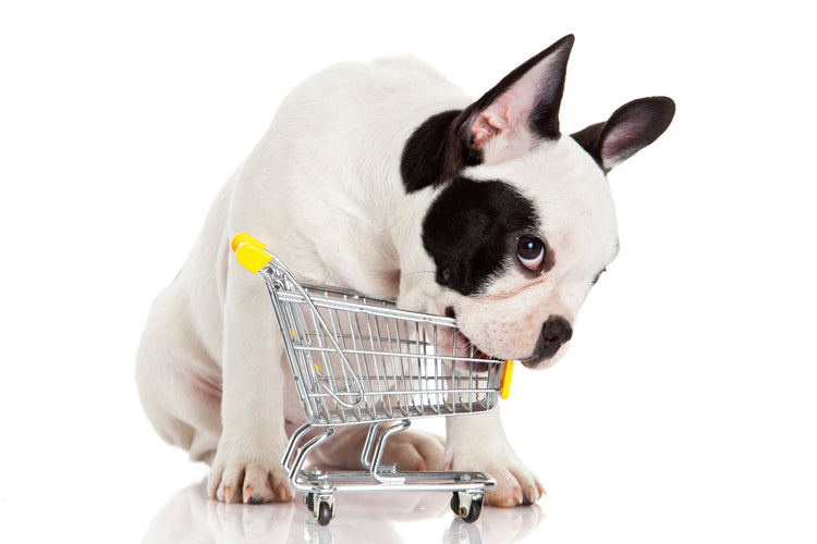 Special offers-Pets Supplies-alexthepet.com