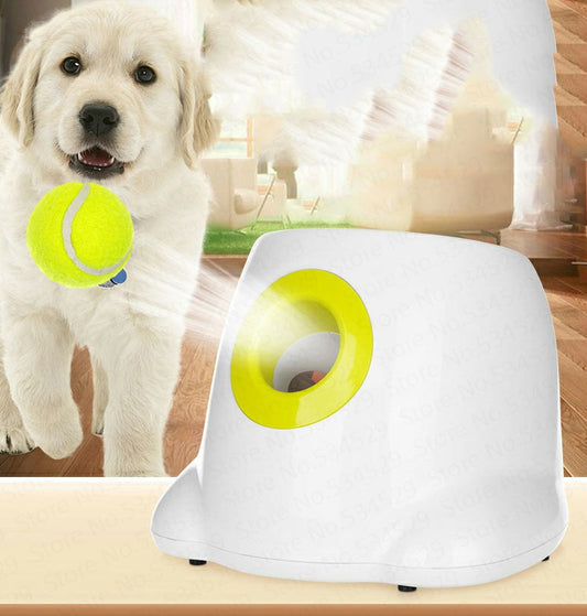 Dog Pet Automatic Interactive Ball Launcher-Alexthepet.com