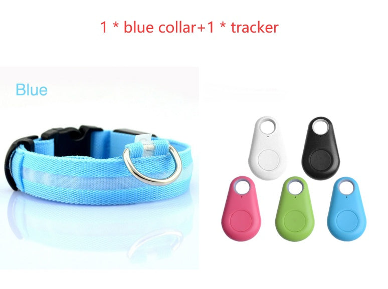 Safety Dog LED Collar-Alexthepet.com