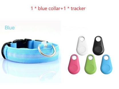 Safety Dog LED Collar-Alexthepet.com