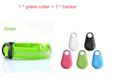 Safety Dog LED Collar-Alexthepet.com