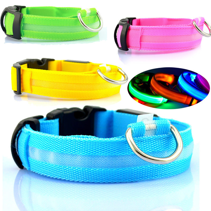 Safety Dog LED Collar-Alexthepet.com