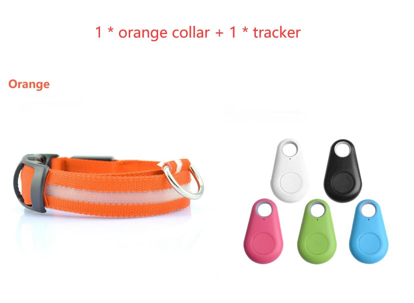 Safety Dog LED Collar-Alexthepet.com