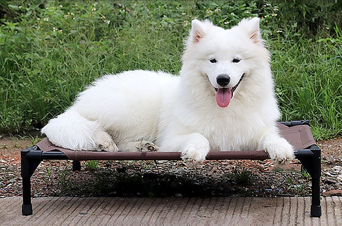 Dog Bed - Moisture-Proof, Washable & Stackable | AlexThePet