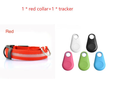 Safety Dog LED Collar-Alexthepet.com