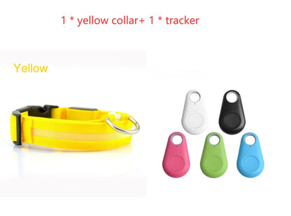 Safety Dog LED Collar-Alexthepet.com