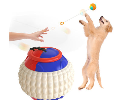 Pet Training Ball - Durable Chew & Teeth Grinding Dog Toy