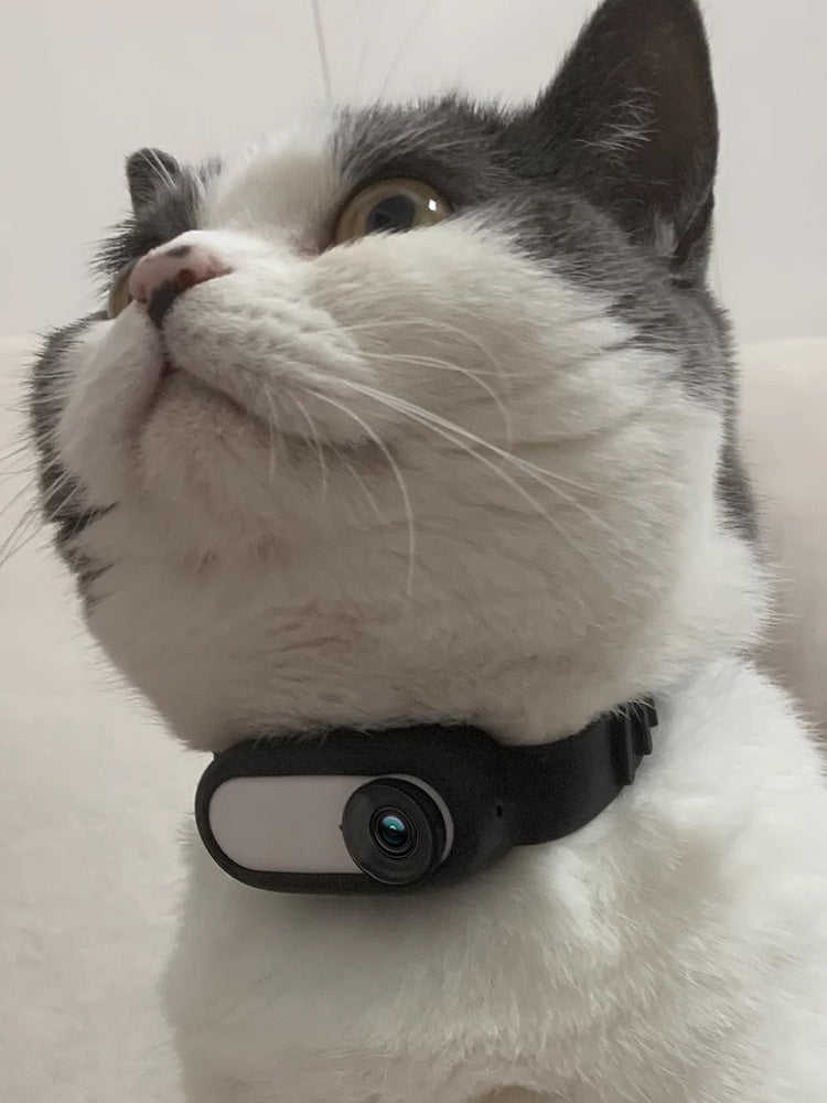 Pet Collar Camera: Wireless Indoor & Outdoor Recording