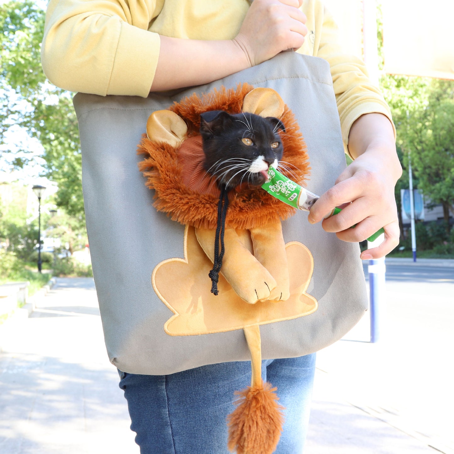 Soft Pet Carriers - Lion Design Portable Cat & Dog Handbag 