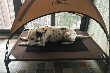 Dog Bed - Moisture-Proof, Washable & Stackable | AlexThePet