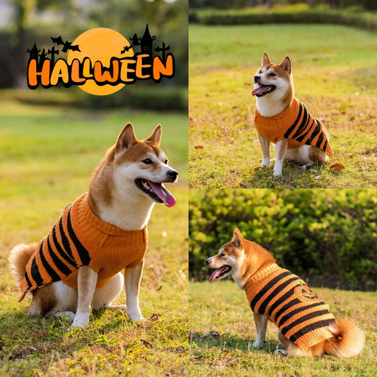 Halloween Dog Sweaters | Cozy Pet Costumes for Canadian Dogs