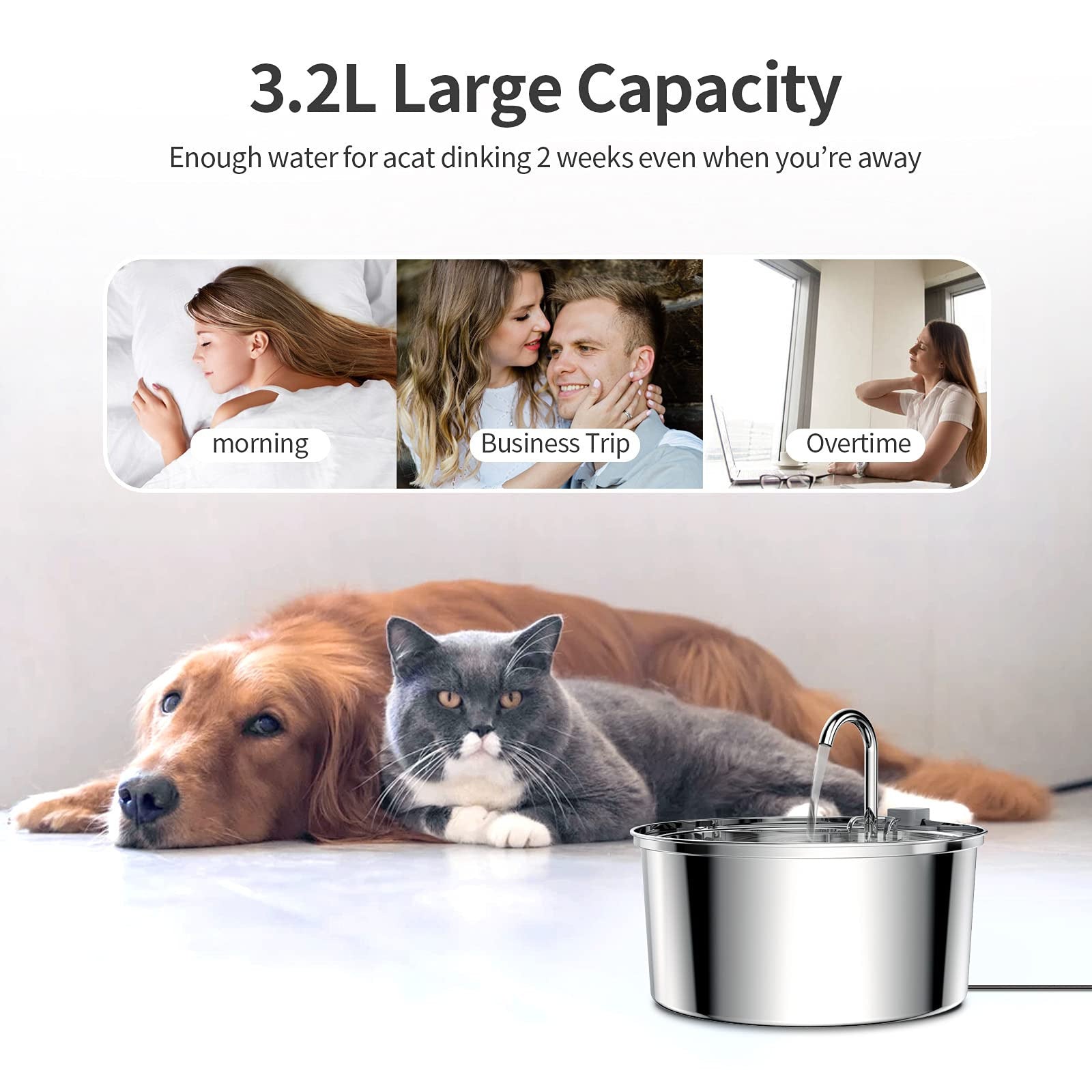 Stainless Steel Water Dispenser - Automatic Pet Fountain CA