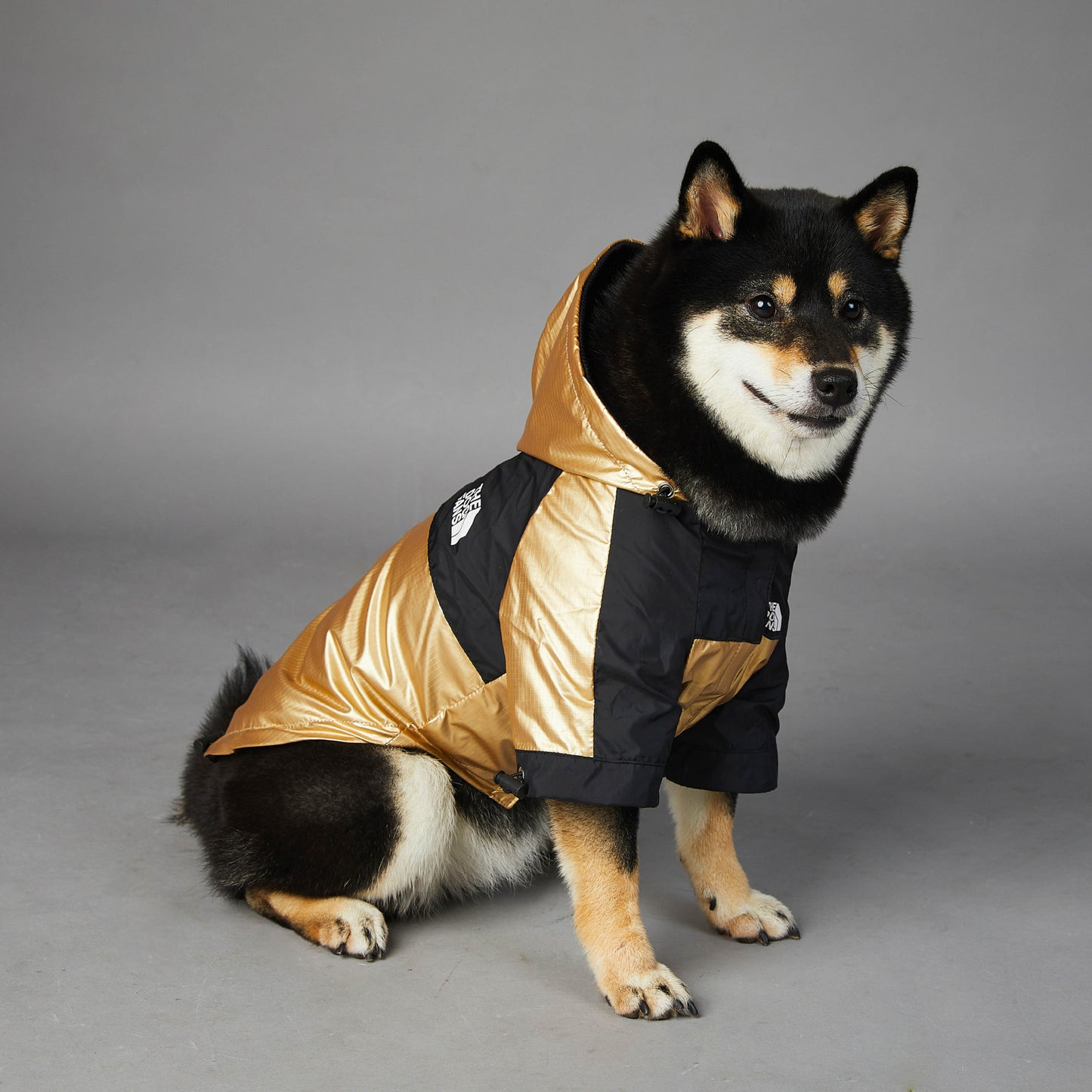 Dog Large Dog Raincoat Pet Jacket-Alexthepet.com