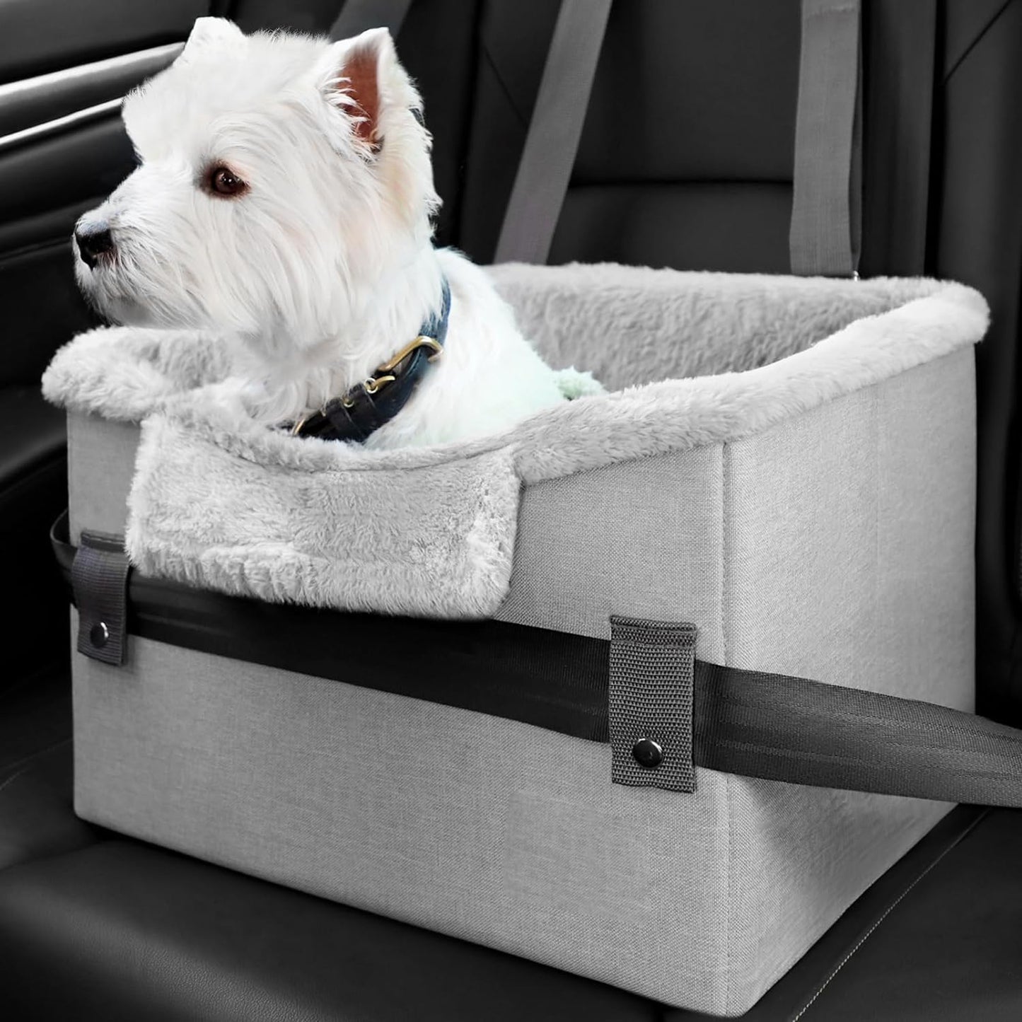 Small Dog Car Seat - Portable Booster with Safety Leash