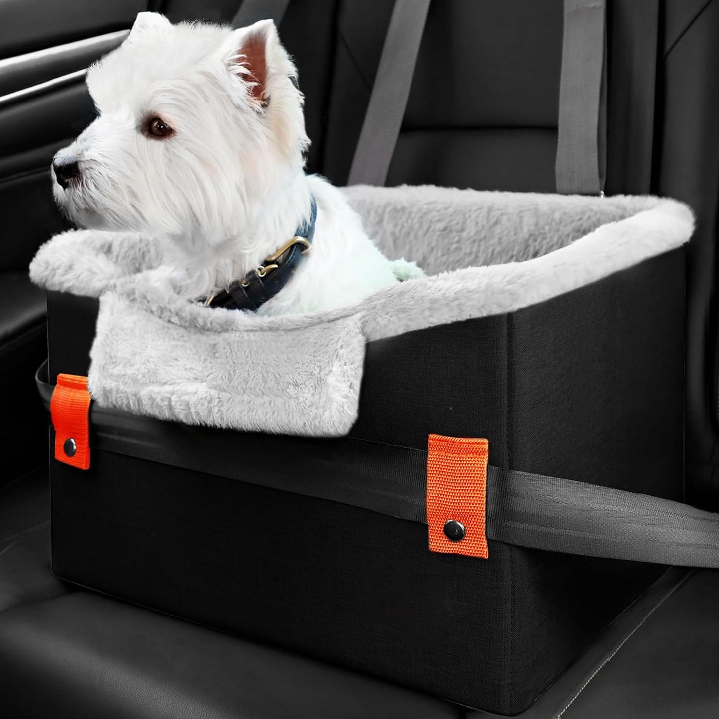 Small Dog Car Seat - Portable Booster with Safety Leash