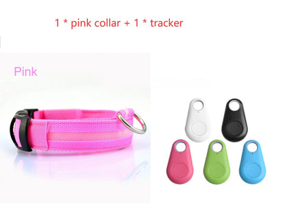 Safety Dog LED Collar-Alexthepet.com