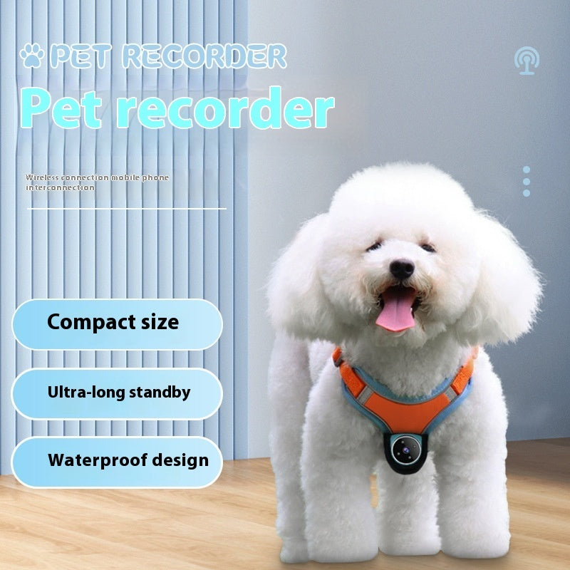 Pet Tracker Collar - Motion Recording Camera for Dogs & Cats