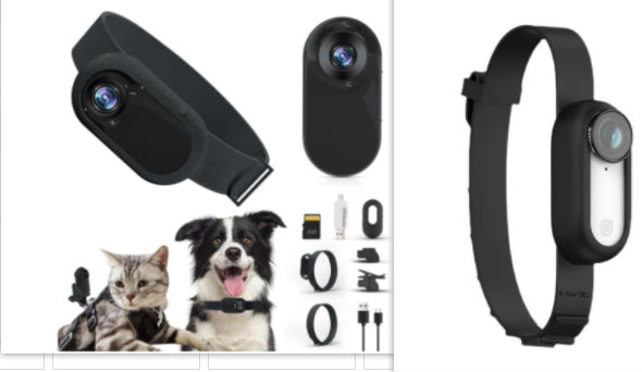 Pet Collar Camera: Wireless Indoor & Outdoor Recording