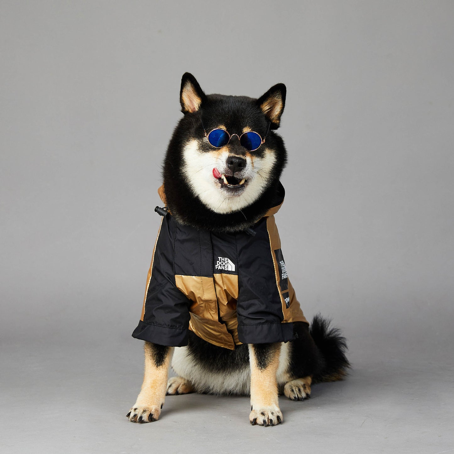 Dog Large Dog Raincoat Pet Jacket-Alexthepet.com