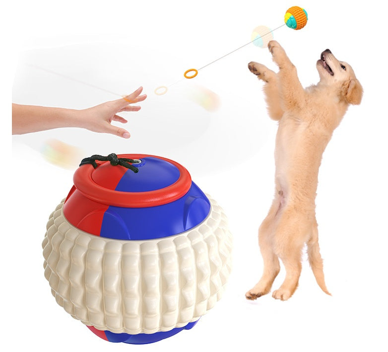 Pet Training Ball - Durable Chew & Teeth Grinding Dog Toy