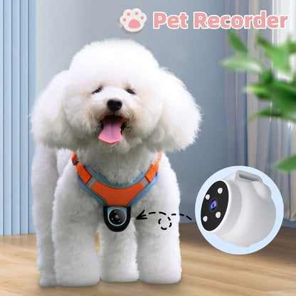 Pet Tracker Collar - Motion Recording Camera for Dogs & Cats