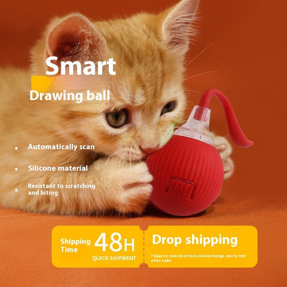 Interactive Cat Toy Ball - Motion-Activated Bird Chirping