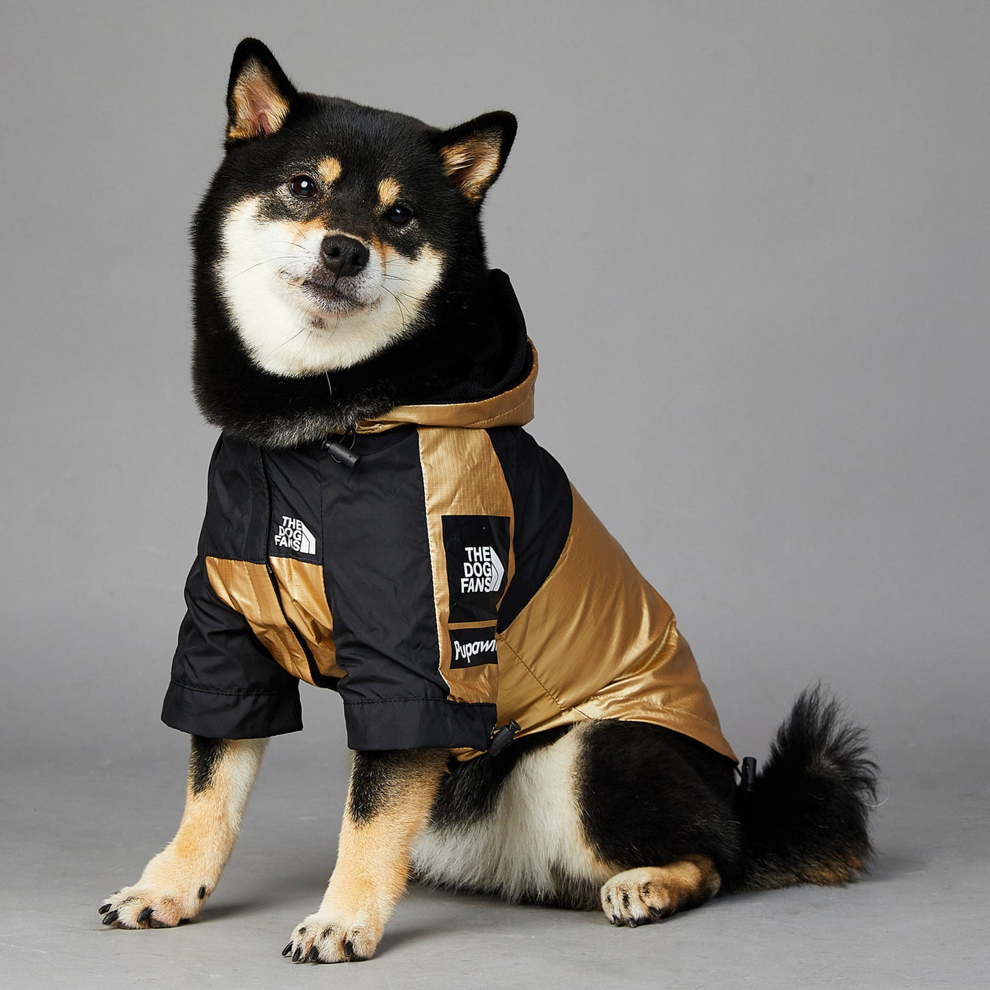 Dog Large Dog Raincoat Pet Jacket-Alexthepet.com