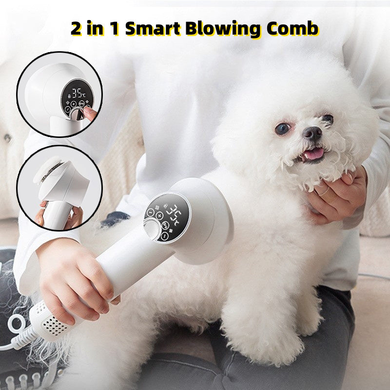 Pet Hair Dryer - Silent Grooming for pets | alexthepet